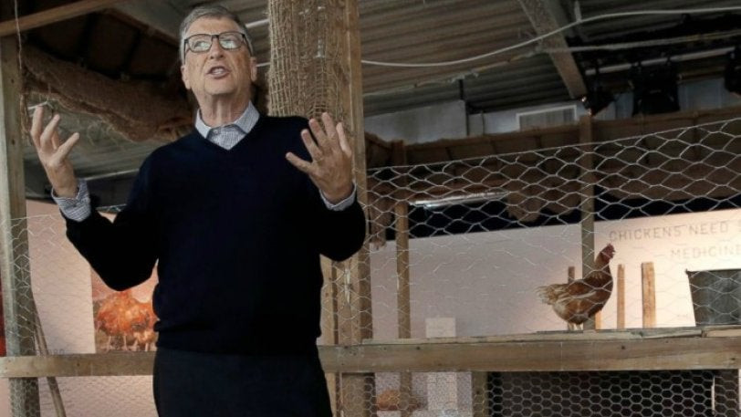 Bill Gates: Η λύση για τη φτώχεια είναι οι κότες! (εικόνες)